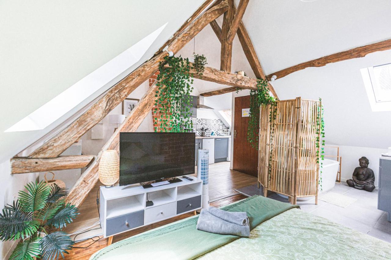 Apartament Au Zen Garden Auxerre Zewnętrze zdjęcie