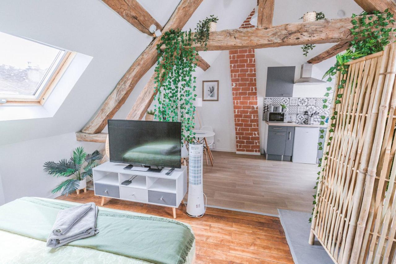 Apartament Au Zen Garden Auxerre Zewnętrze zdjęcie
