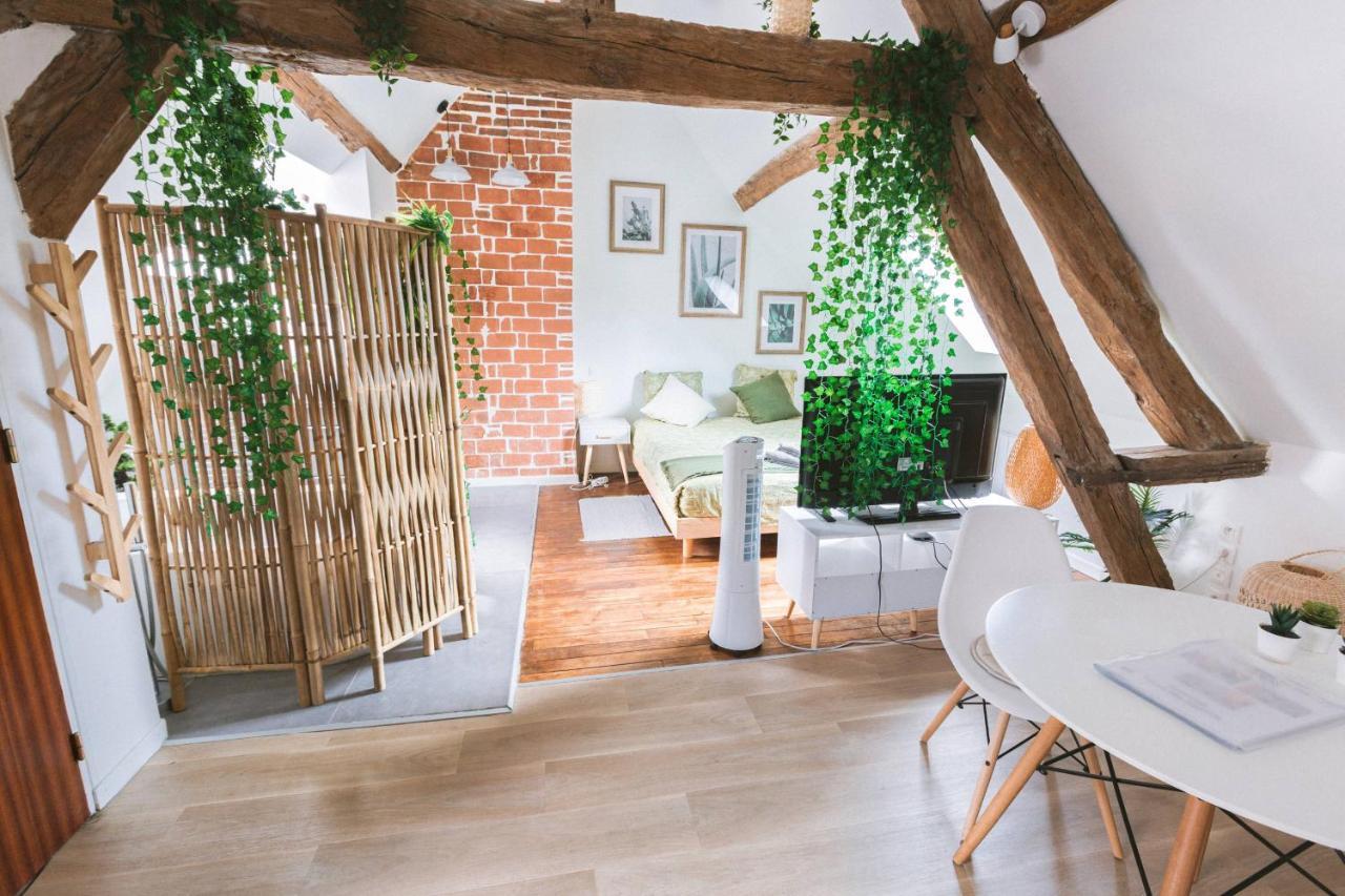 Apartament Au Zen Garden Auxerre Zewnętrze zdjęcie
